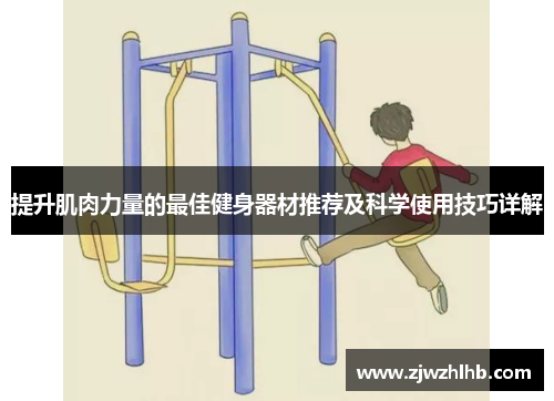 提升肌肉力量的最佳健身器材推荐及科学使用技巧详解