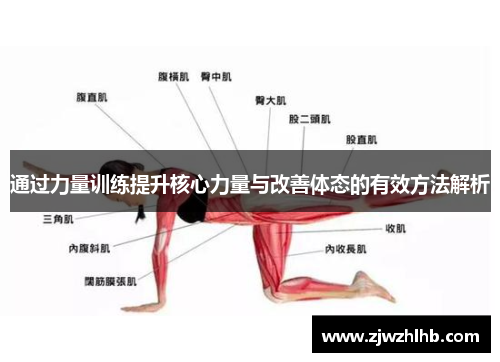 通过力量训练提升核心力量与改善体态的有效方法解析