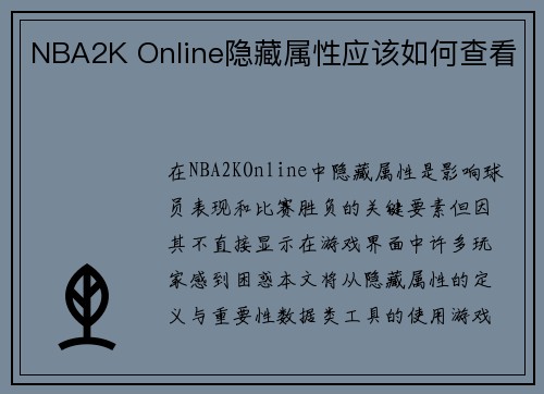 NBA2K Online隐藏属性应该如何查看