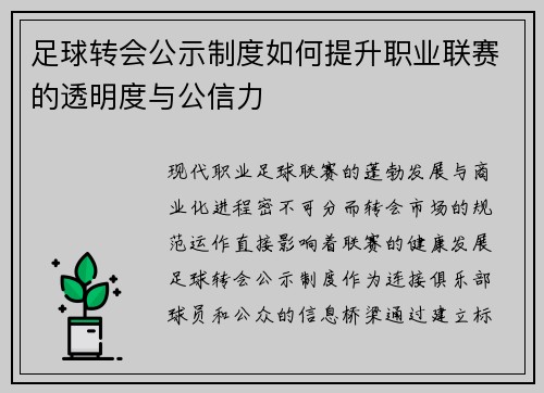 足球转会公示制度如何提升职业联赛的透明度与公信力